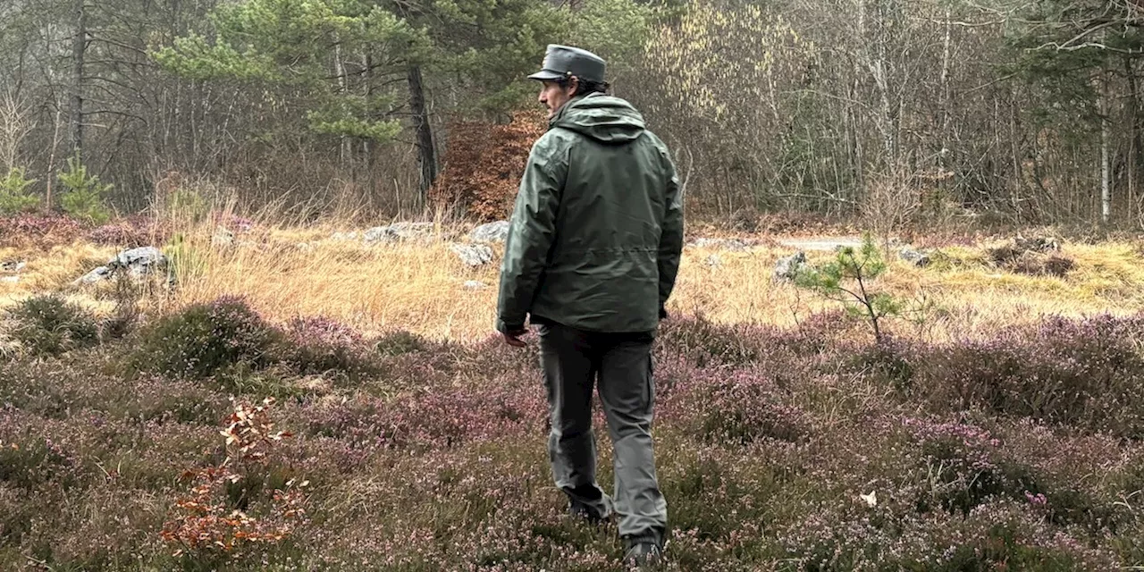 Che storia ha l’orsa che ha ferito il turista francese a Dro