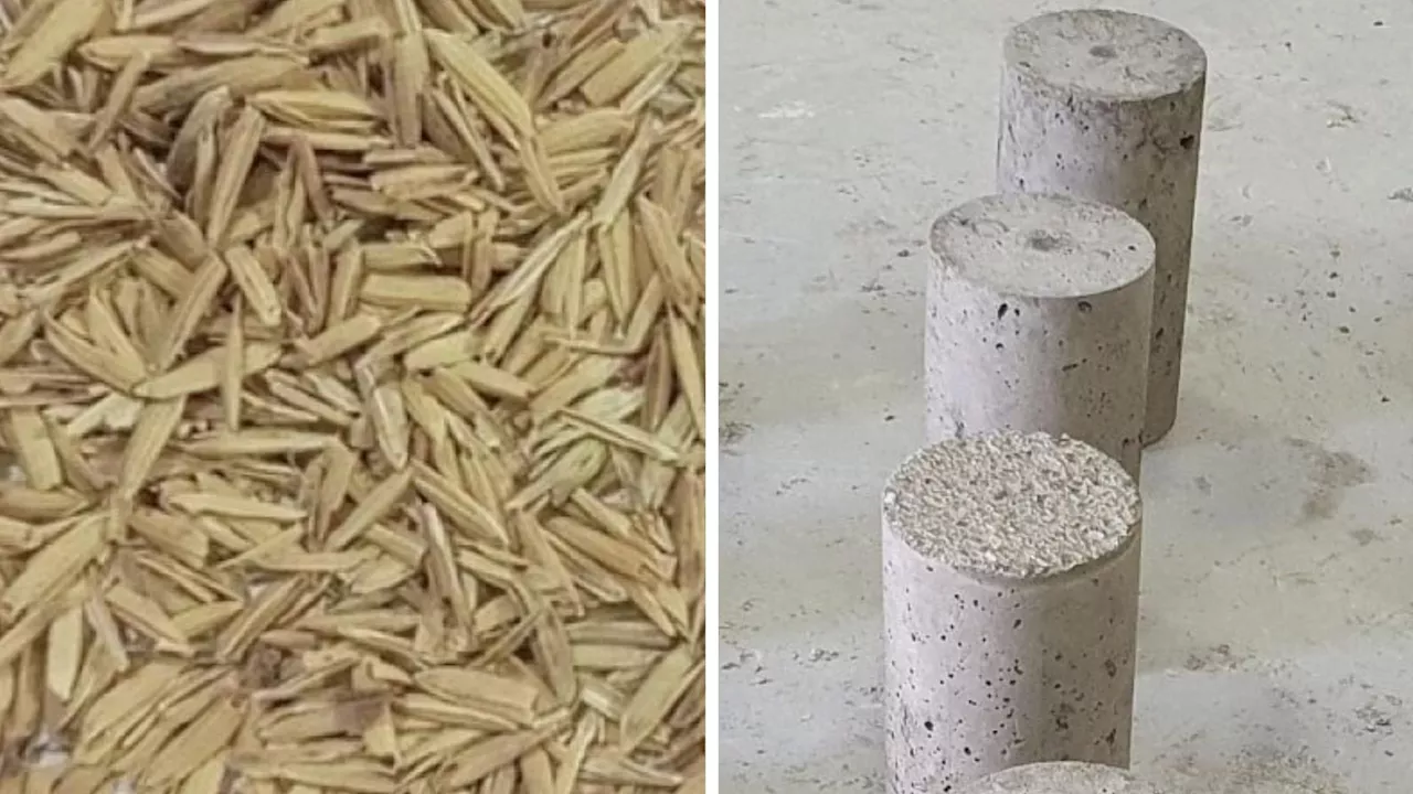 Husk power: Researchers turn rice trash into green concrete treasure with AI