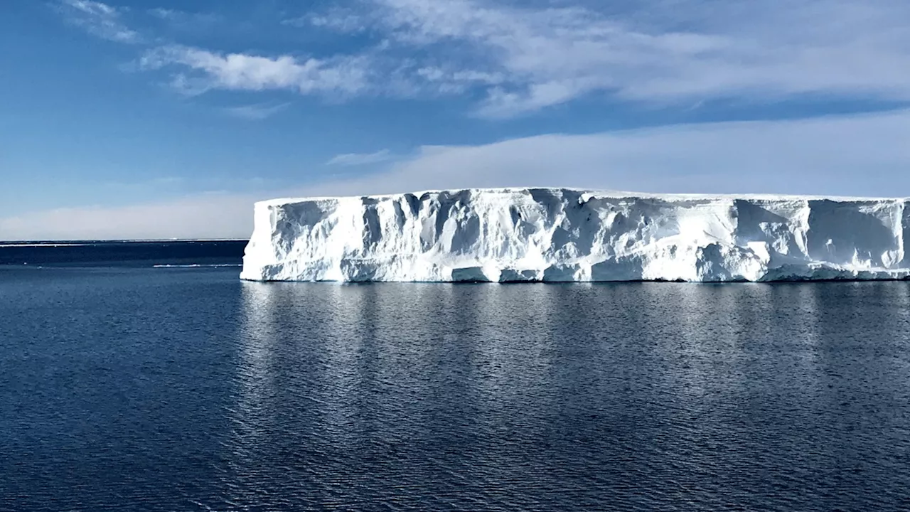 Sensor-loaded seals, drones discover meltwater pathways around Antarctica