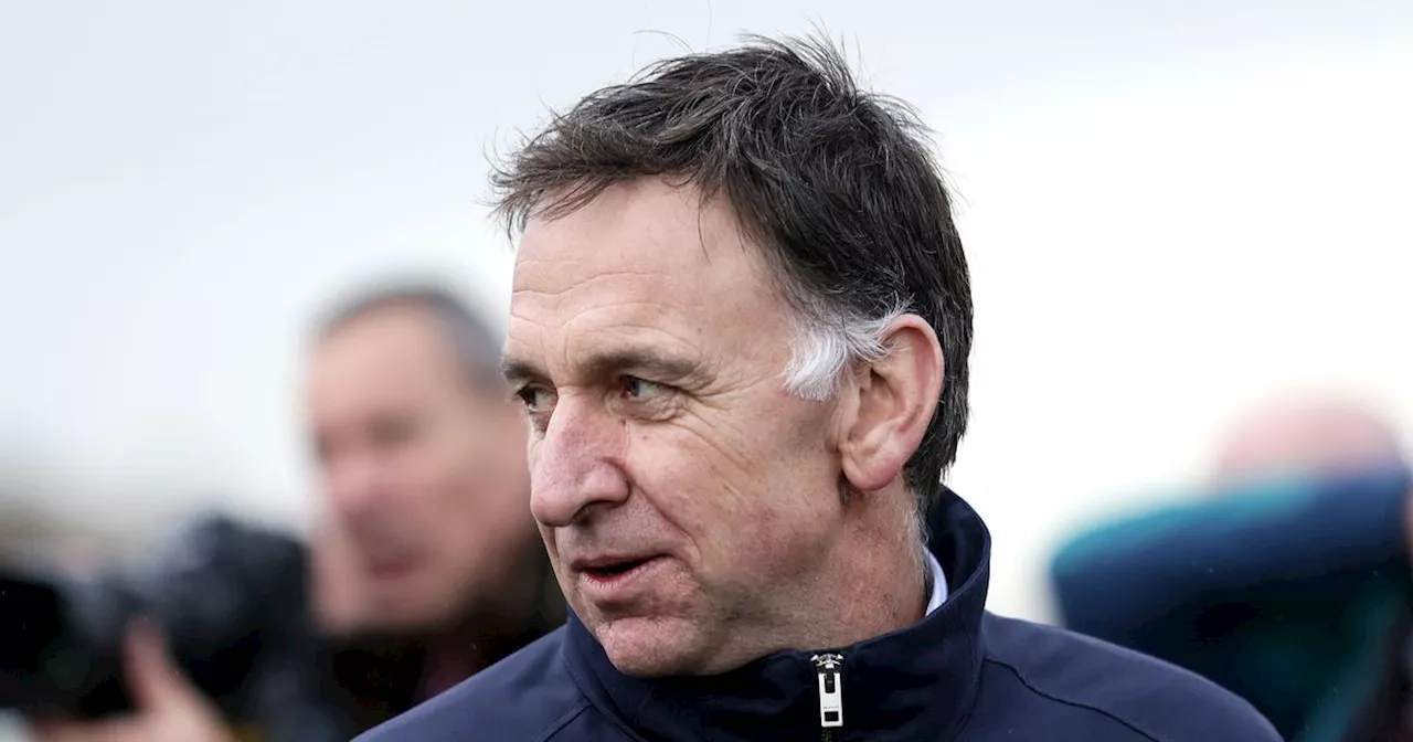 Henry de Bromhead splashes huge sum for French Grade 1 winner