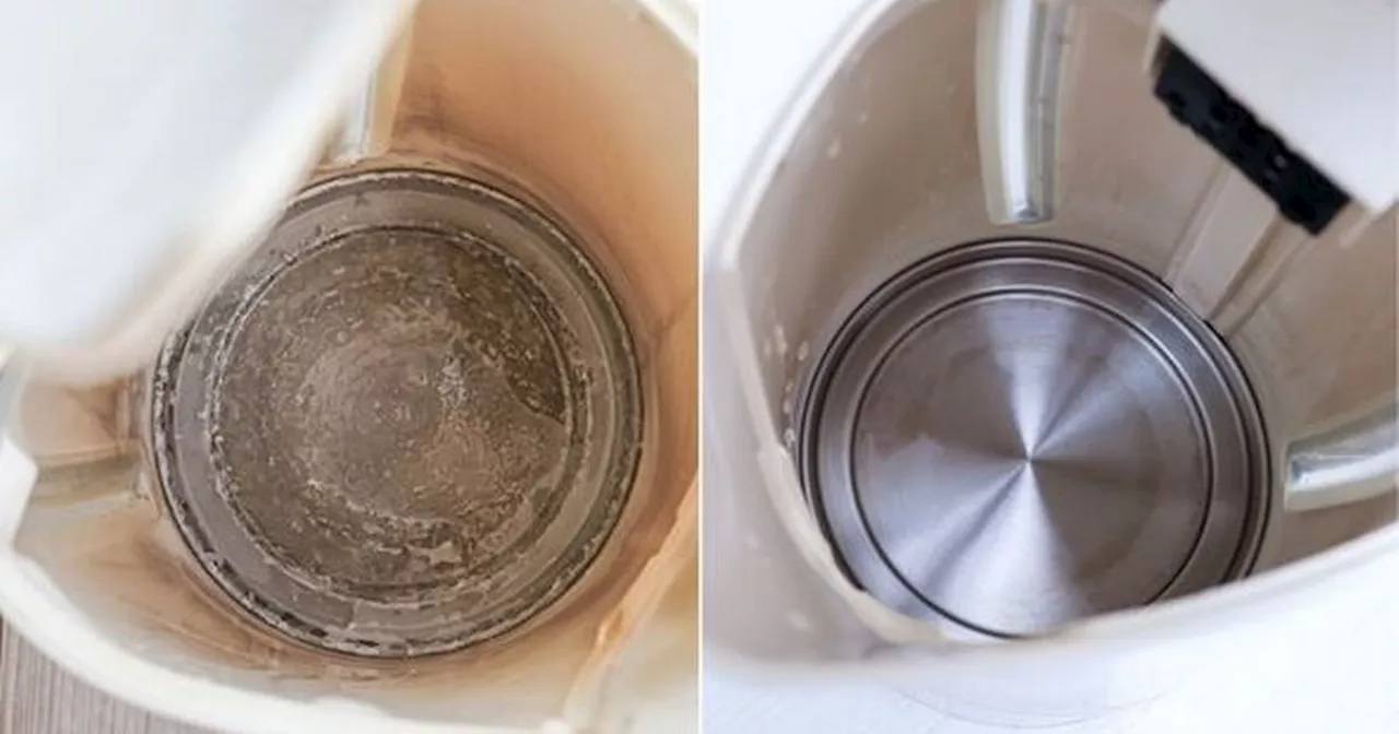 Kettle limescale 'completely disappears in under two minutes' thanks to product