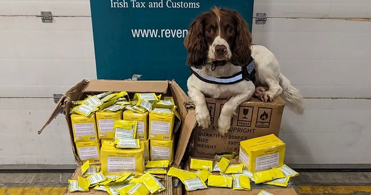 Revenue seizes chewing tobacco worth €137,500 at Dublin Port