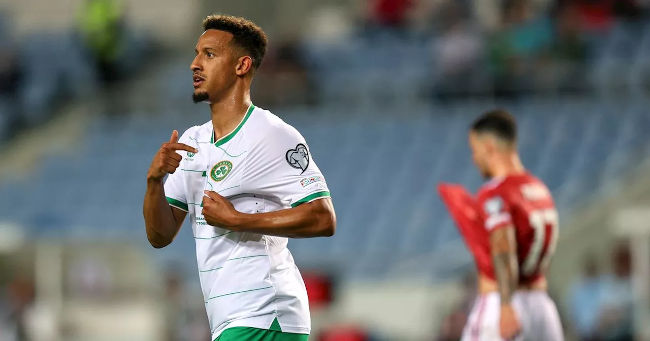 WATCH: Ireland striker Callum Robinson is back among the goals for Cardiff City