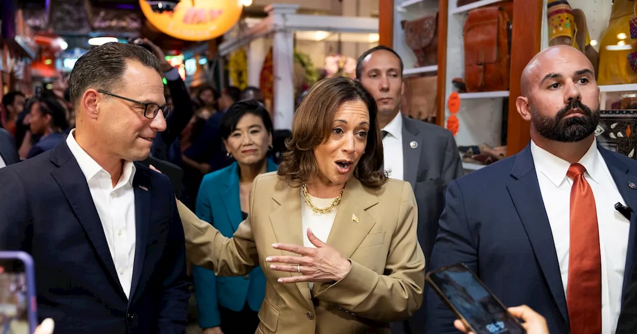 Kamala Harris spoiled for choice of potential running mates