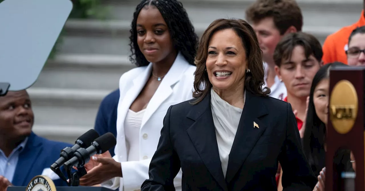 Leading Democratic donors swing behind Kamala Harris