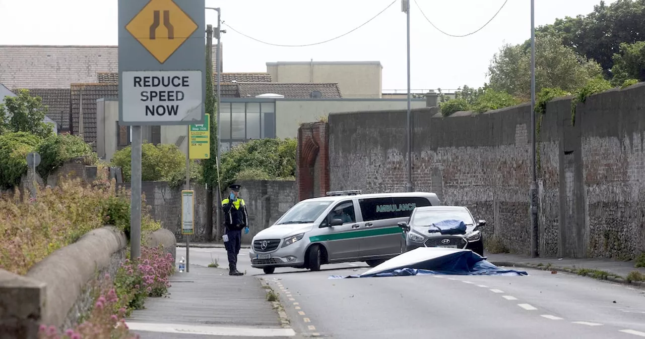 Man killed in Baldoyle hit-and-run named as funeral announced