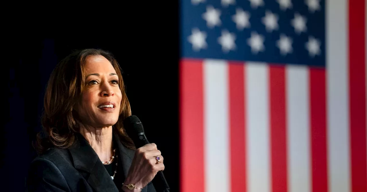 Where does Kamala Harris stand on key US voting issues?