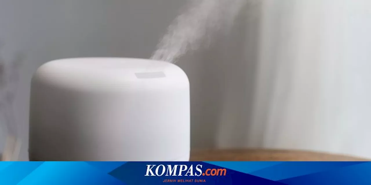 Apakah Dehumidifier Bisa Mendinginkan Ruangan?