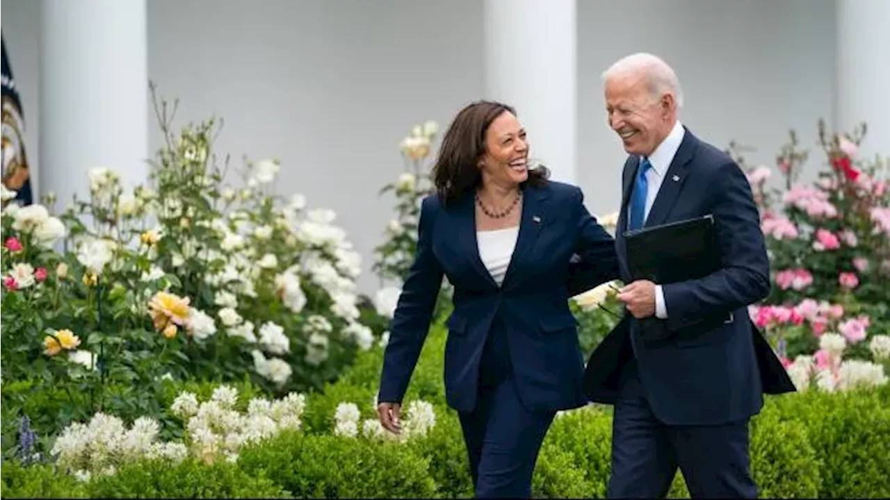 Delegasi Demokrat Ramai-Ramai Dukung Kamala Harris, Analis Sebut Partai Ingin Fokus Hadapi Trump