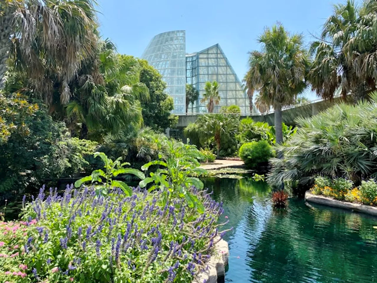 San Antonio Botanical Garden will offer free admission this Saturday