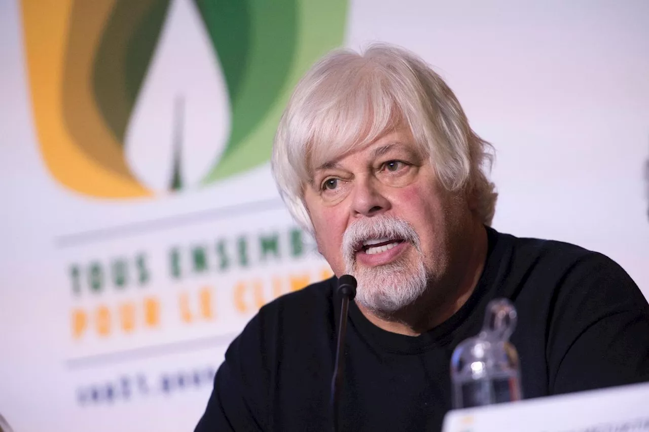 Chasse à la baleine : Paul Watson, recherché par le Japon, arrêté au Groenland