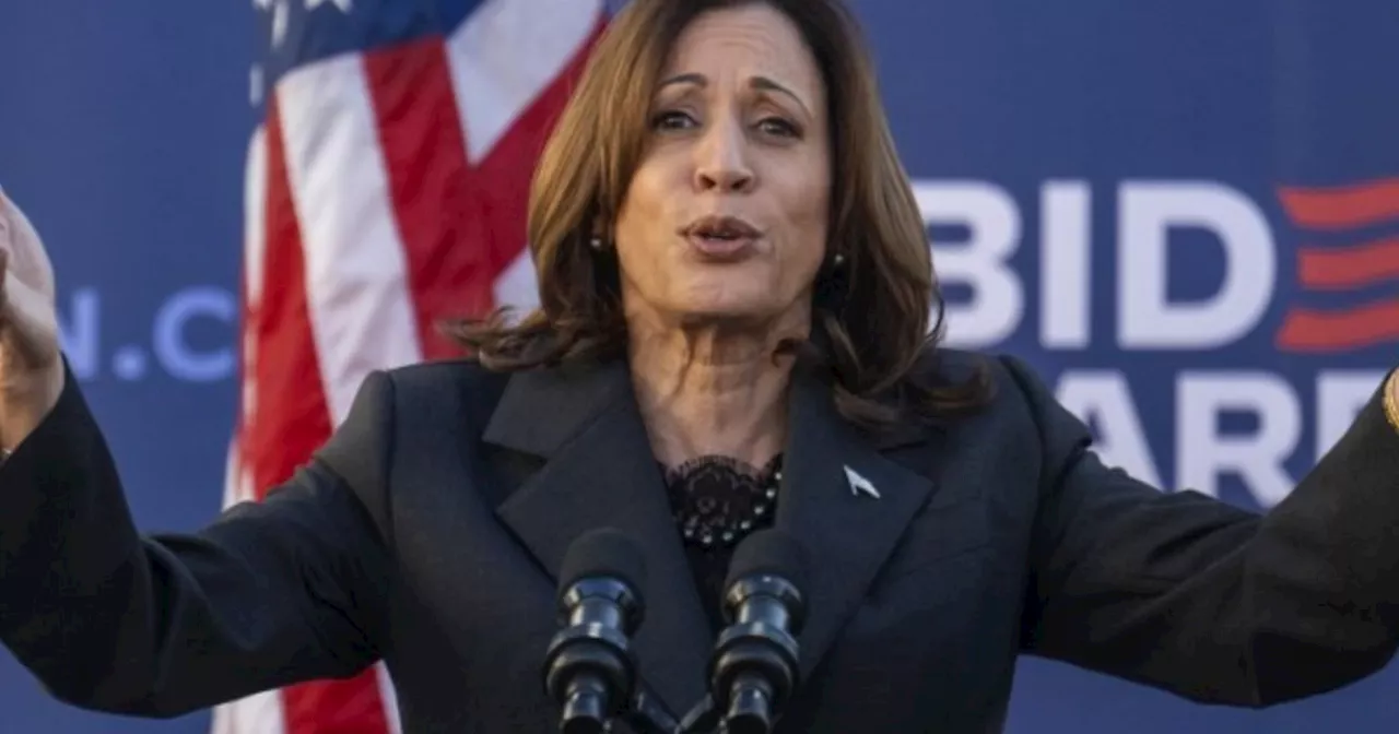 ¿Aún hay tiempo para que Kamala Harris haga campaña?