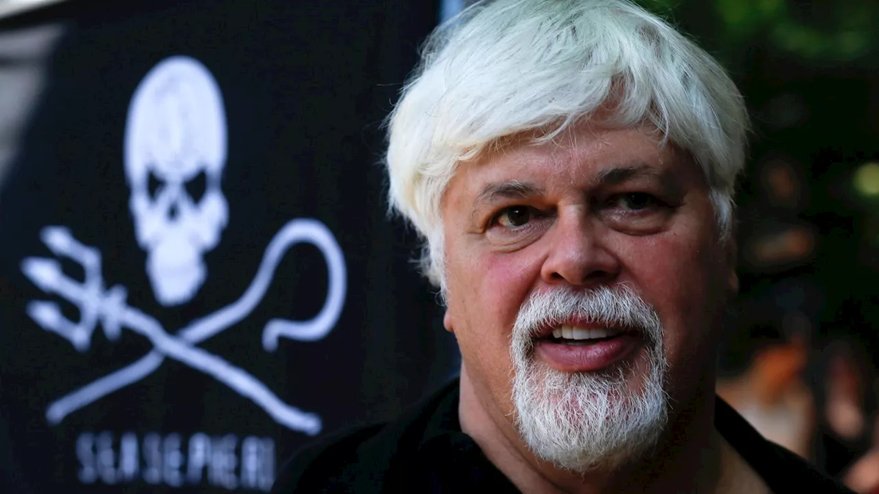 Arrestato in Groenlandia l'ambientalista Paul Watson: la sua sfida al Giappone contro la caccia alle balene