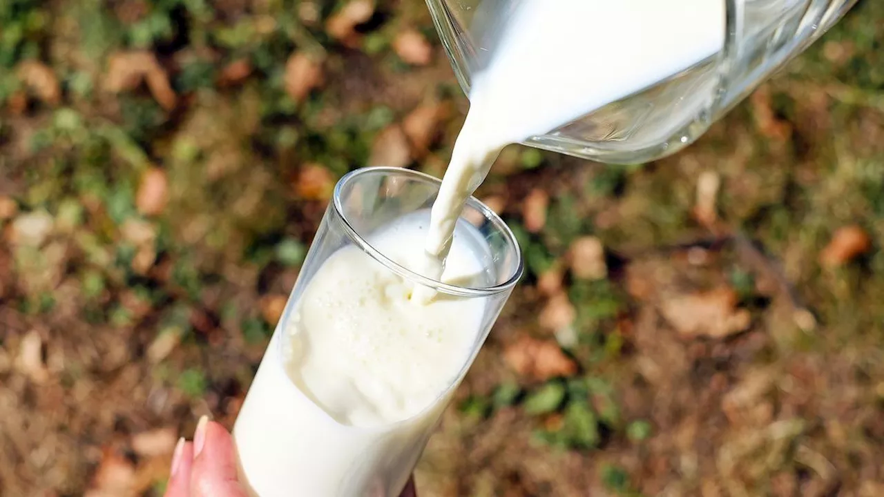 6 Minuman untuk Bantu Kurangi Gejala Asam Lambung Naik, Susu sampai Air Kelapa