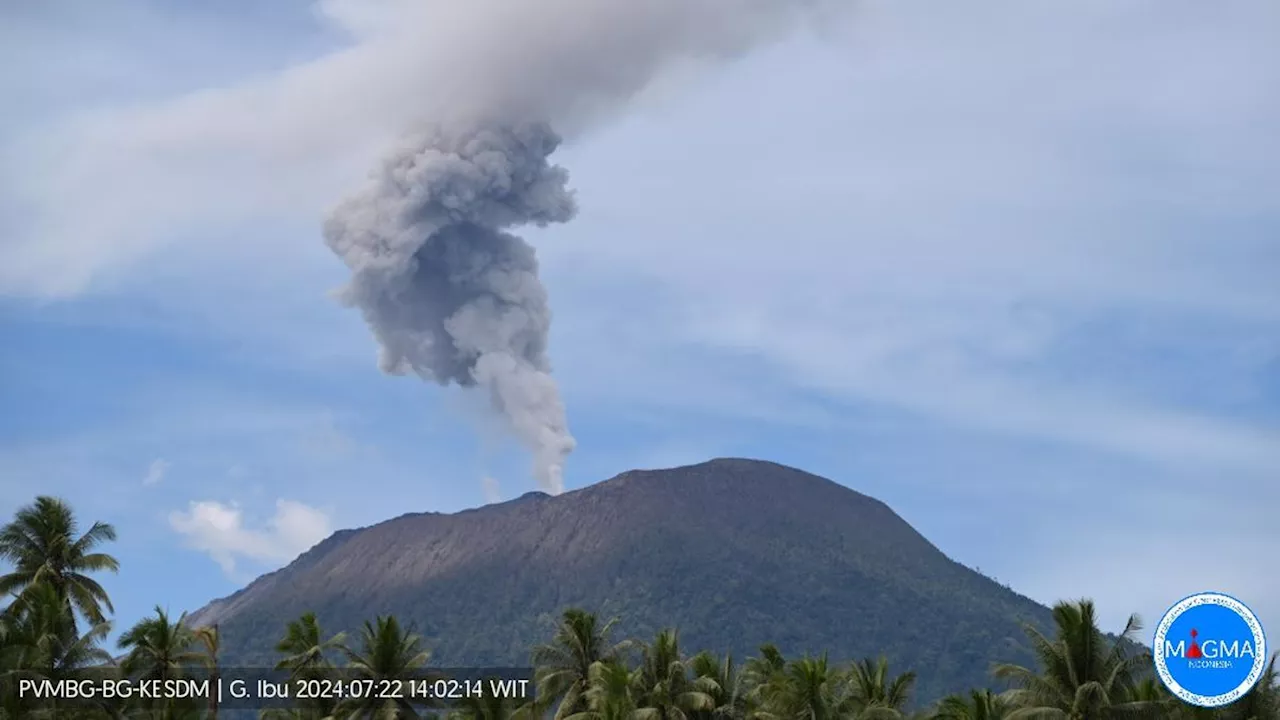 Gunung Ibu Erupsi Lagi, Semburkan Abu Vulkanik 1.000 Meter ke Arah Utara