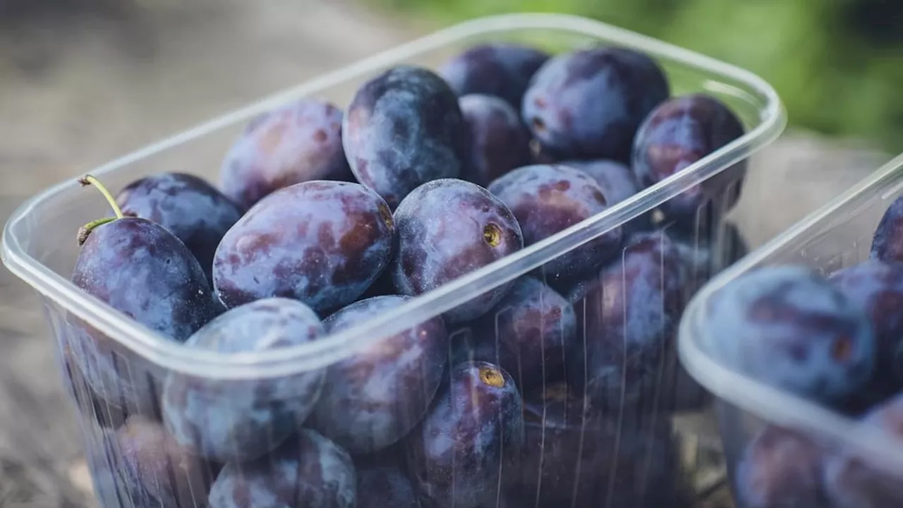 Selain Mencerahkan Kulit, Ini 5 Manfaat Buah Plum untuk Kesehatan Tubuh