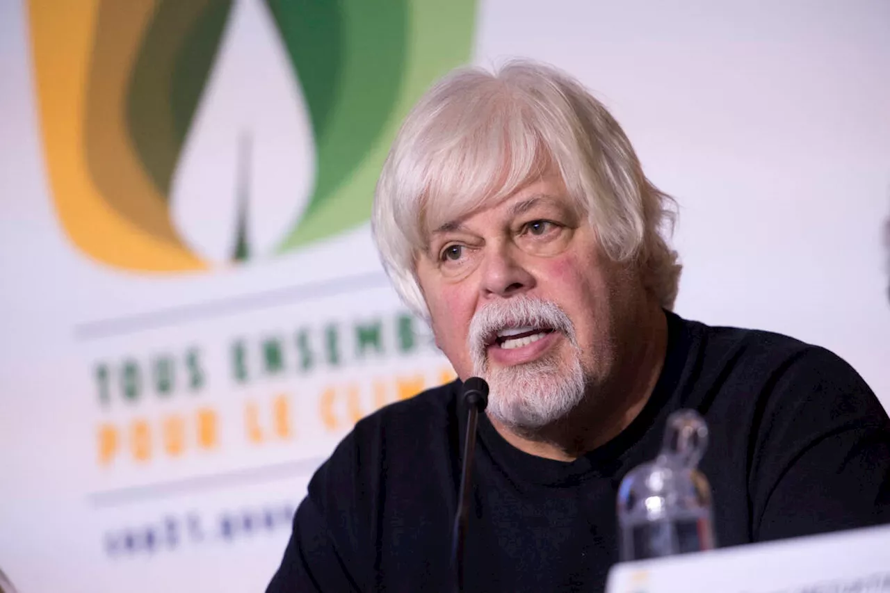 Le fondateur de Sea Shepherd, Paul Watson, a été arrêté au Groenland