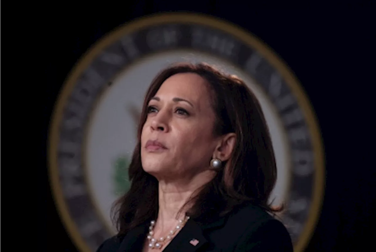 Many Democrats back Harris in 2024 race, but Pelosi, Obama silent