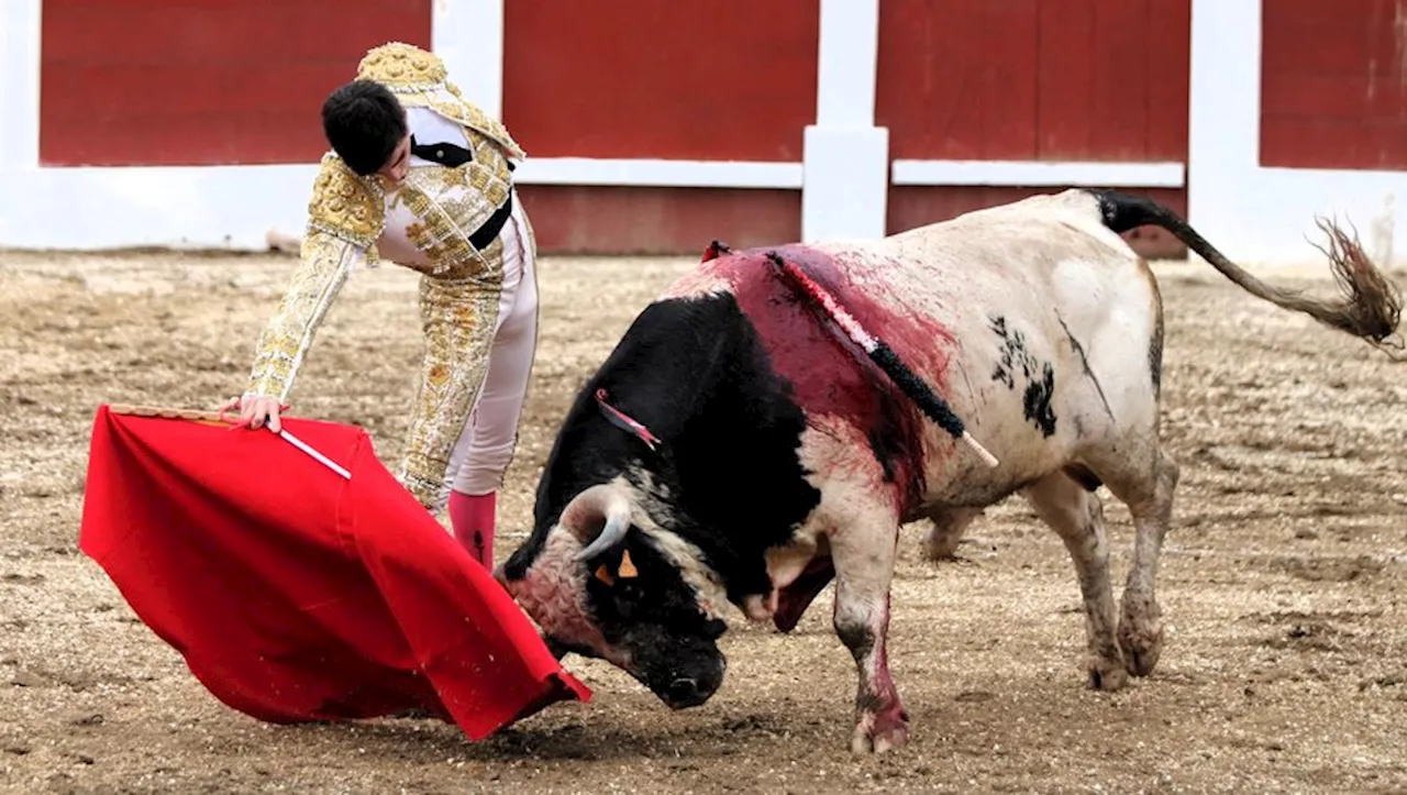 La Feria de Beaucaire en plein imbroglio malgré une affiche initialement séduisante