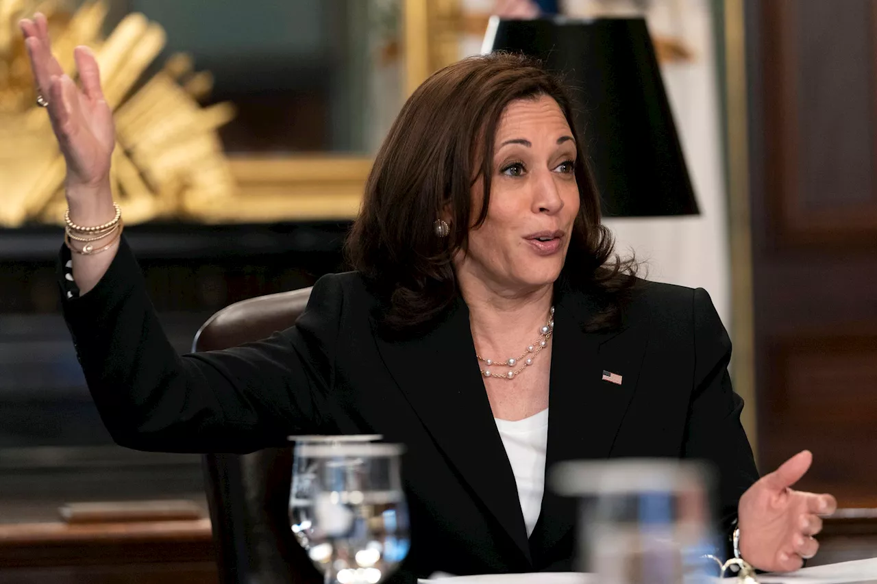 Kamala Harris gegen Donald Trump - Hat sie eine Chance?