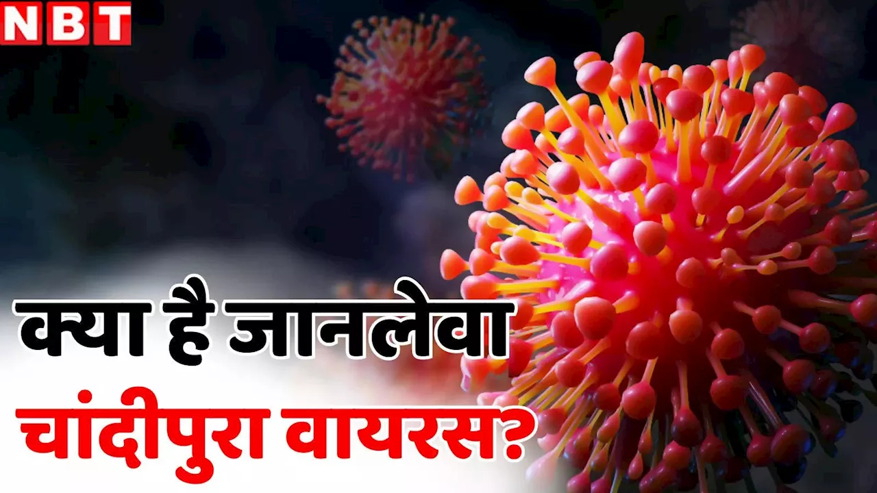 Chandipura Virus: 1966 में नागपुर से शुरू हुआ खतरा अब एमपी तक... नतीजा दिमाग में सूजन, बुखार और फिर मौत!