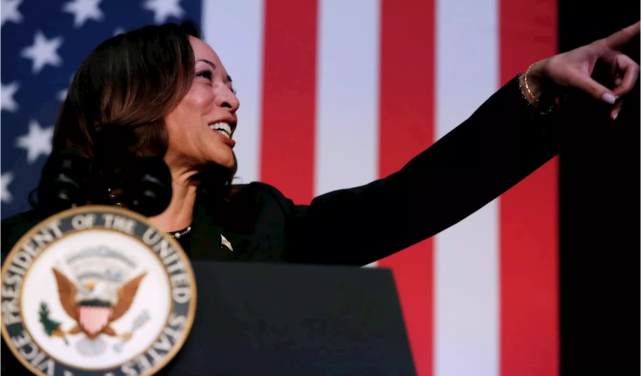 Democrats rally behind Kamala Harris after Biden drops out; running-mate speculation swirls