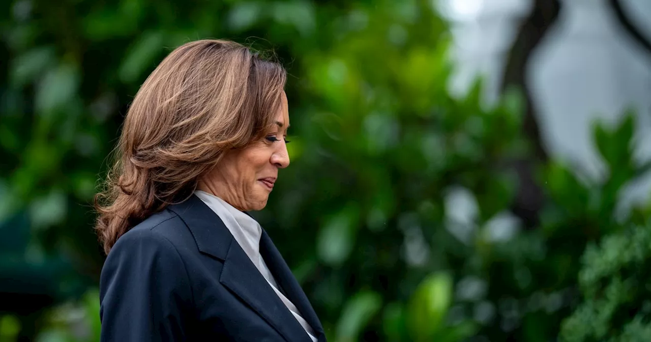 The internet has entered its Kamala Harris ‘coconut tree’ era