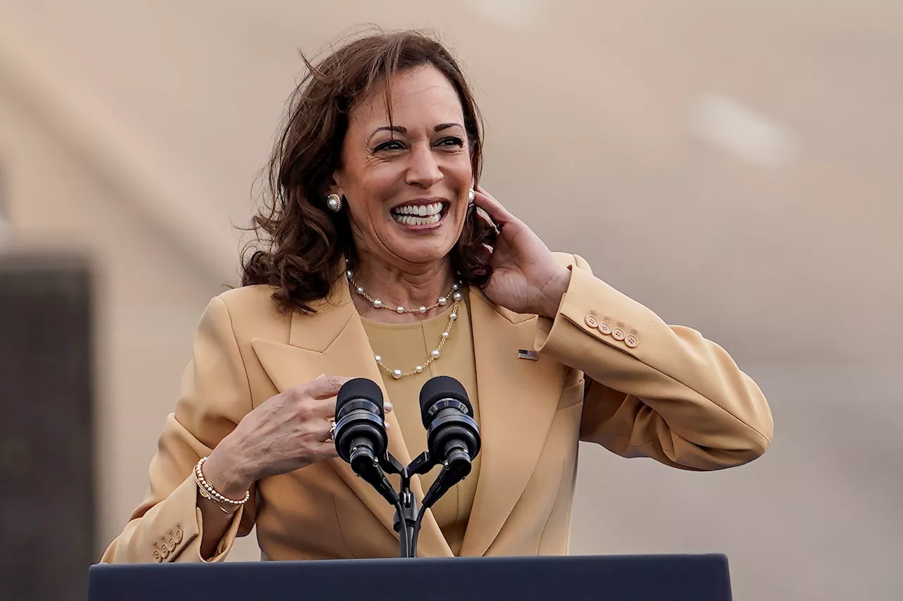 New Hampshire's Democratic delegates pledge unanimous support for Kamala Harris