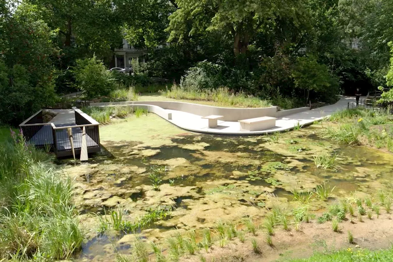 Natural History Museum's new gardens aim to restore UK's urban nature