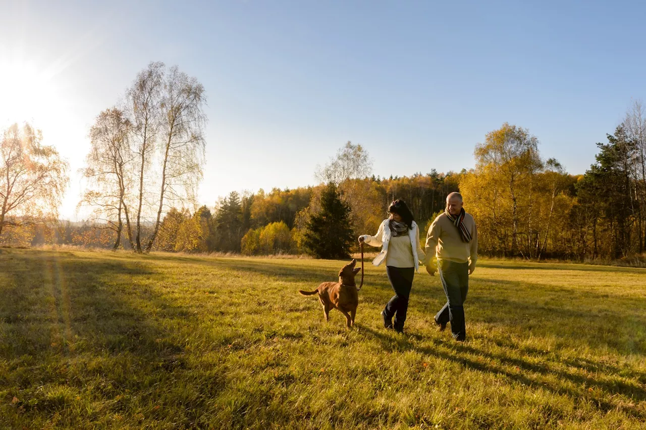 Living near greenspace in midlife tied to slower cognitive decline in older age