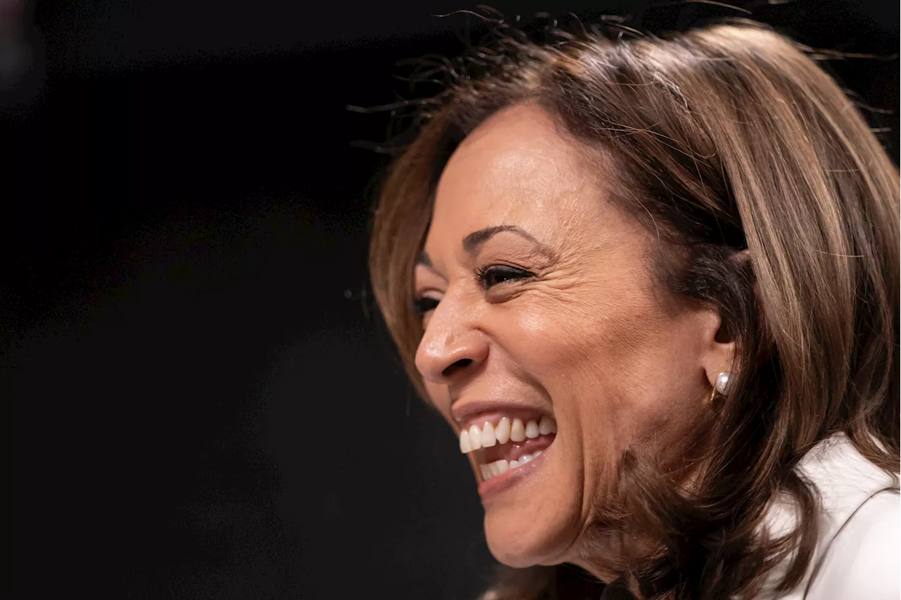 Democrats Have 'Biggest Fundraising Day' Hours After Kamala Harris Launch