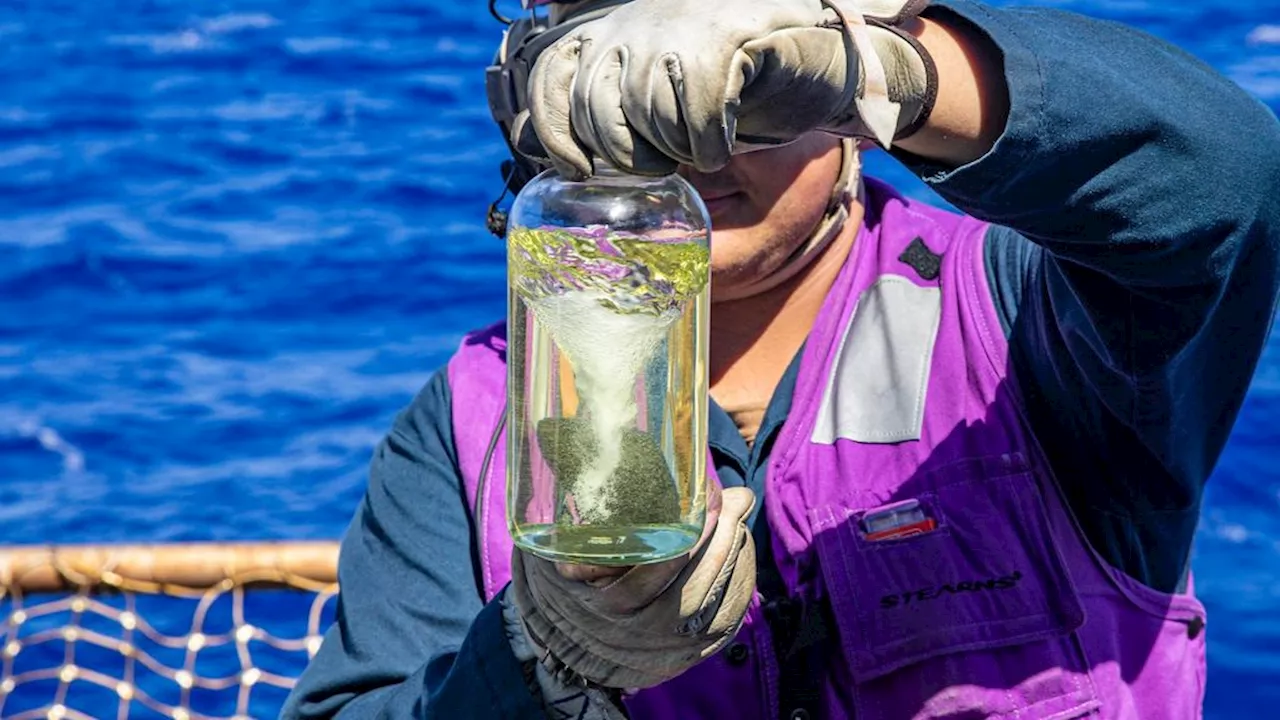 Onderzoek bevestigt: stookolie op zeeschepen bevat schadelijke stoffen