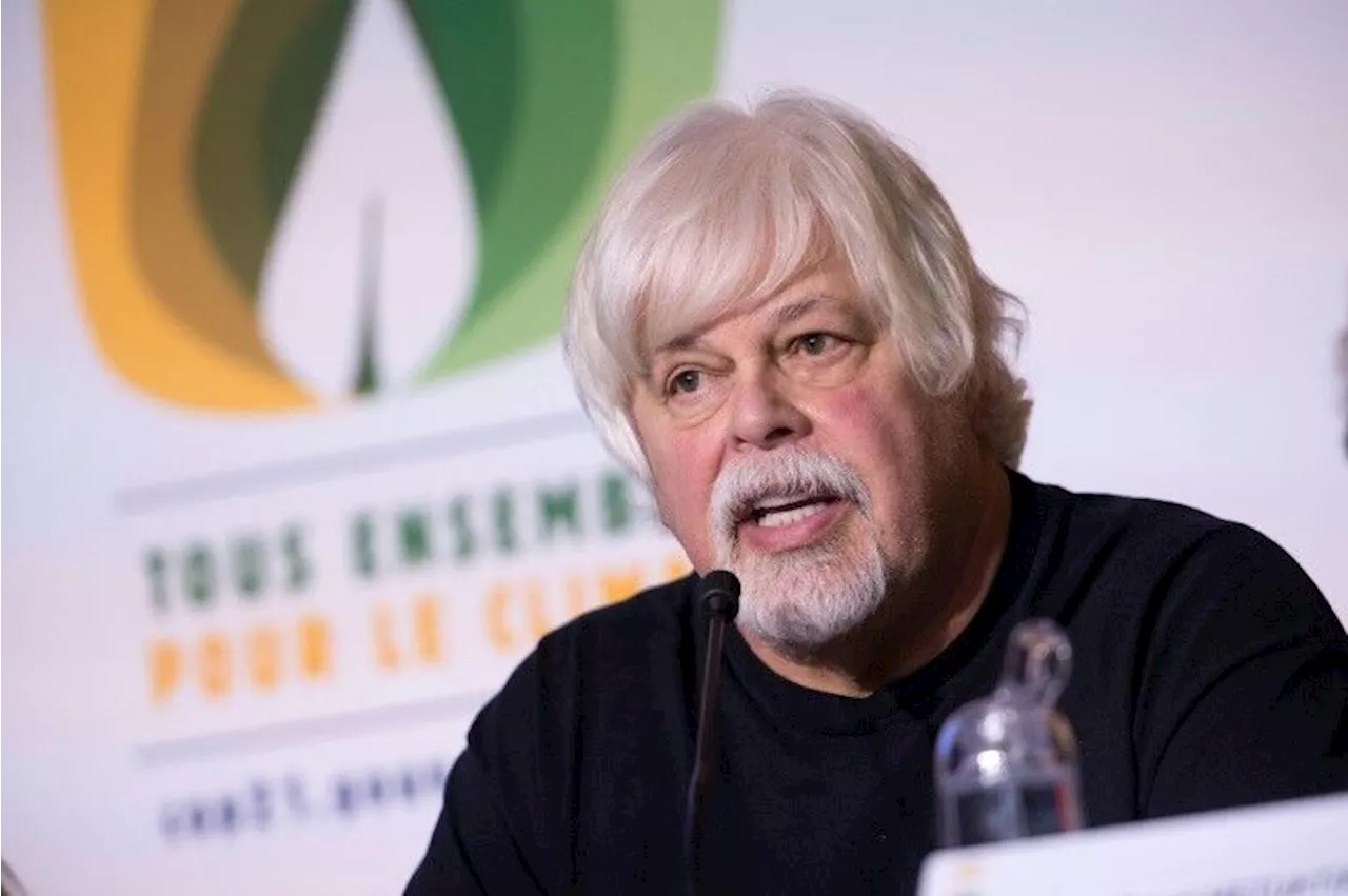 Chasse à la baleine: Paul Watson, recherché par le Japon, arrêté au Groenland