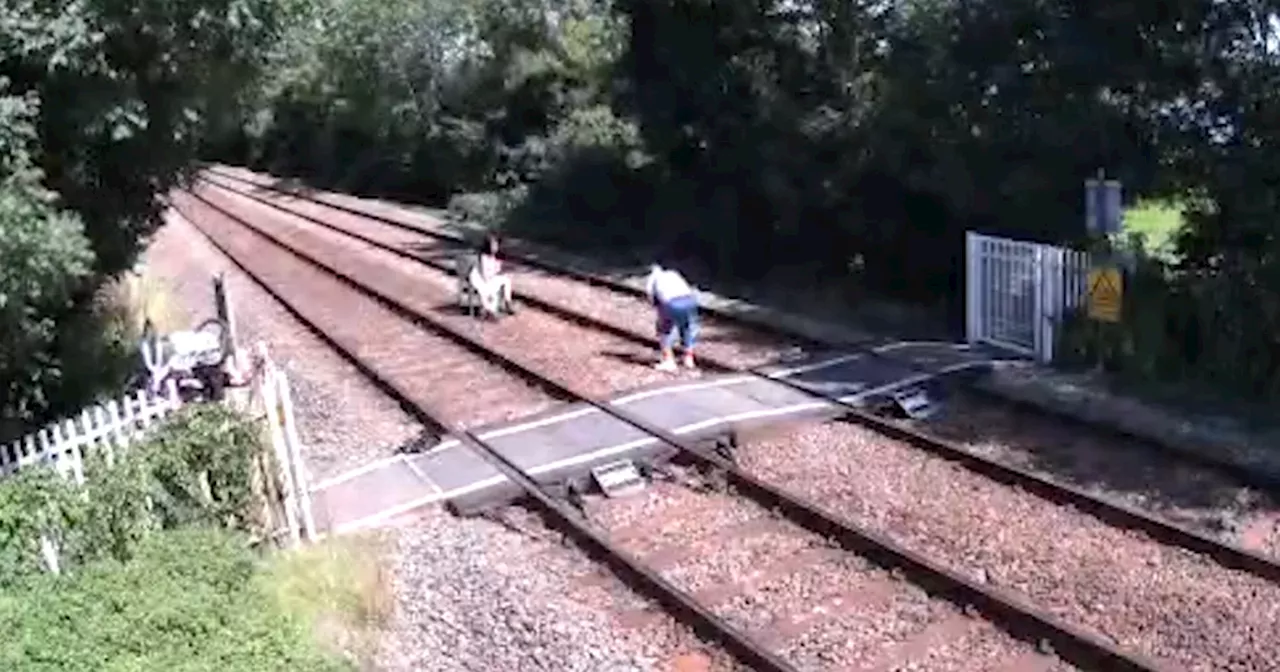 'Lunatic behaviour on the tracks is ruining it for the rest of us'