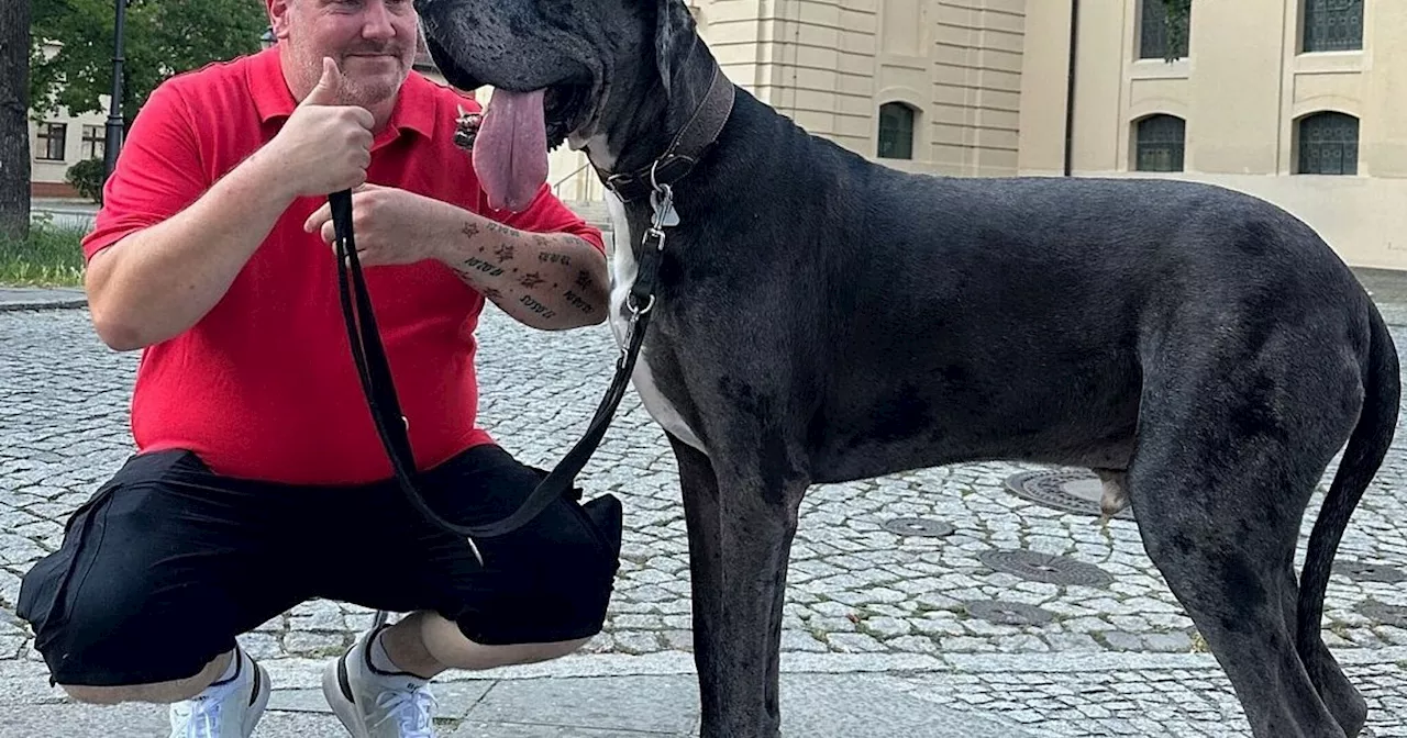  Hund aus Zossen ist rekordverdächtig groß