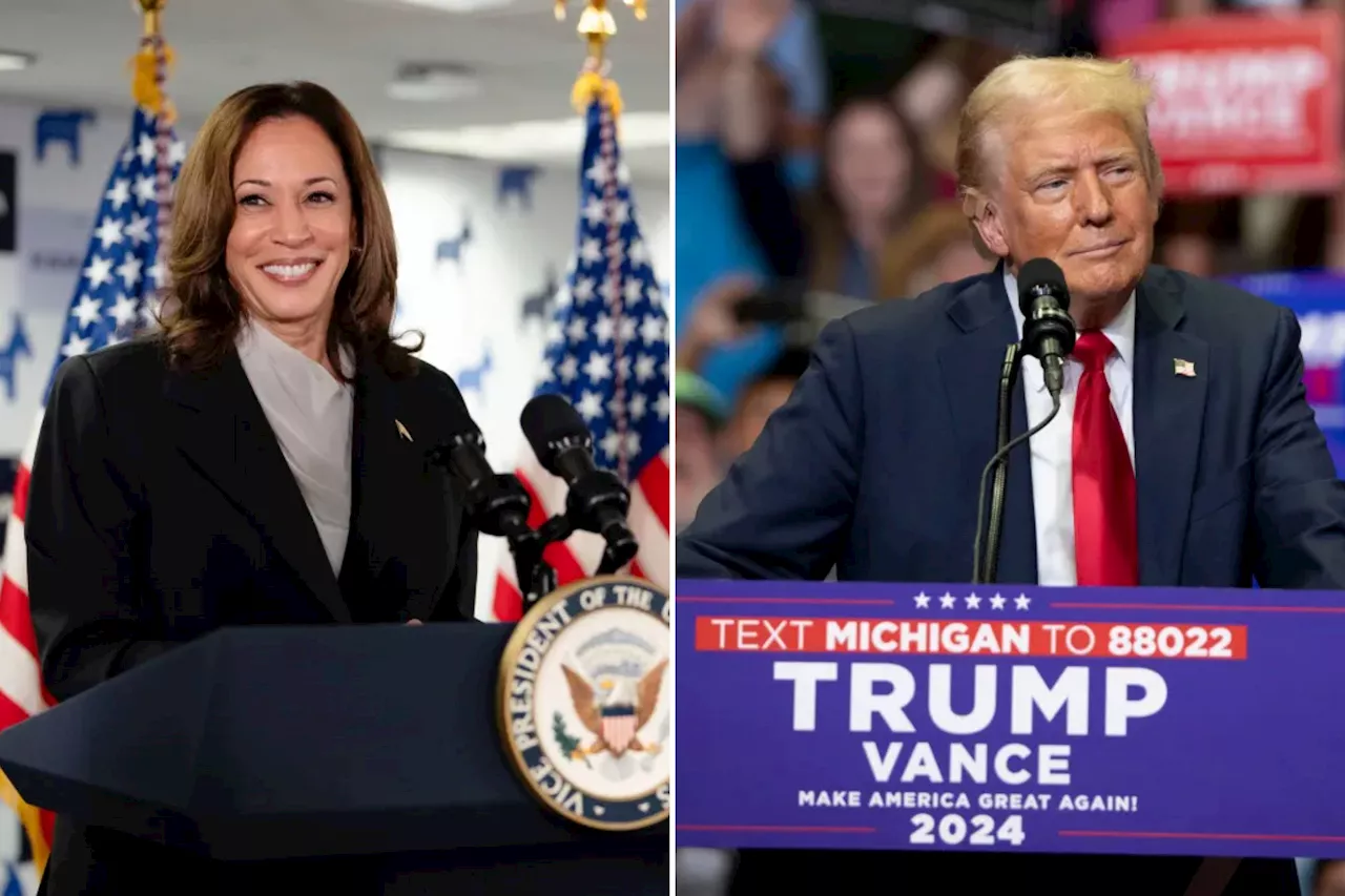 Kamala Harris would lose at least two states Biden won in 2020 if election were held today: polls