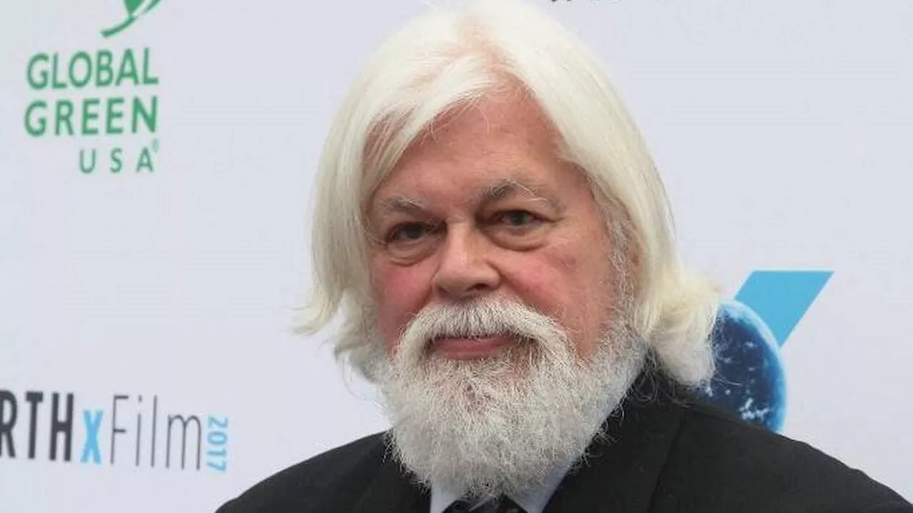 Arrestation de Paul Watson : que risque le militant écologiste et fondateur de Sea Shepherd ?