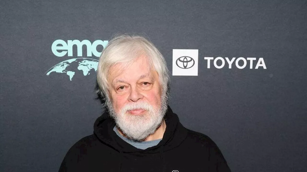 Paul Watson, le célèbre fondateur de Sea Shepherd, a été arrêté au Groenland