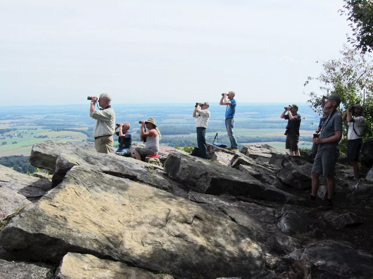 Pa. looks to add 73 acres of public land near this popular lookout