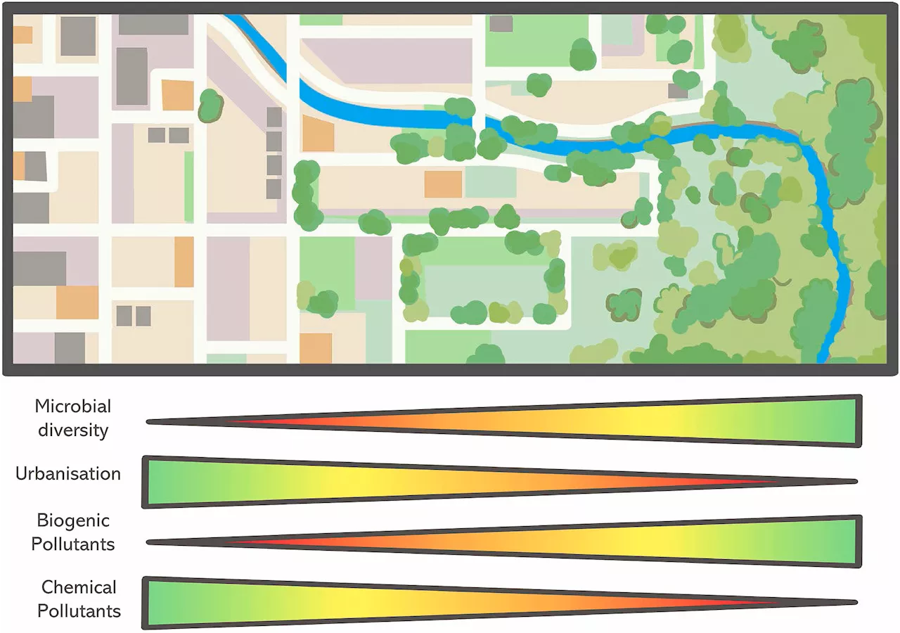 Designing healthier cities with good bacteria