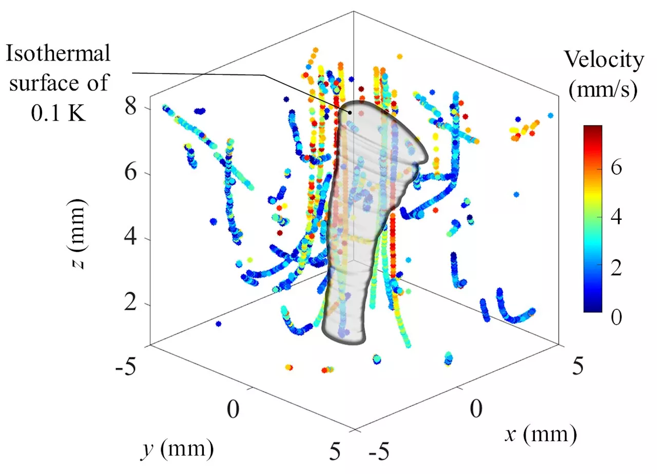 Two-in-one mapping of temperature and flow around microscale convective plumes