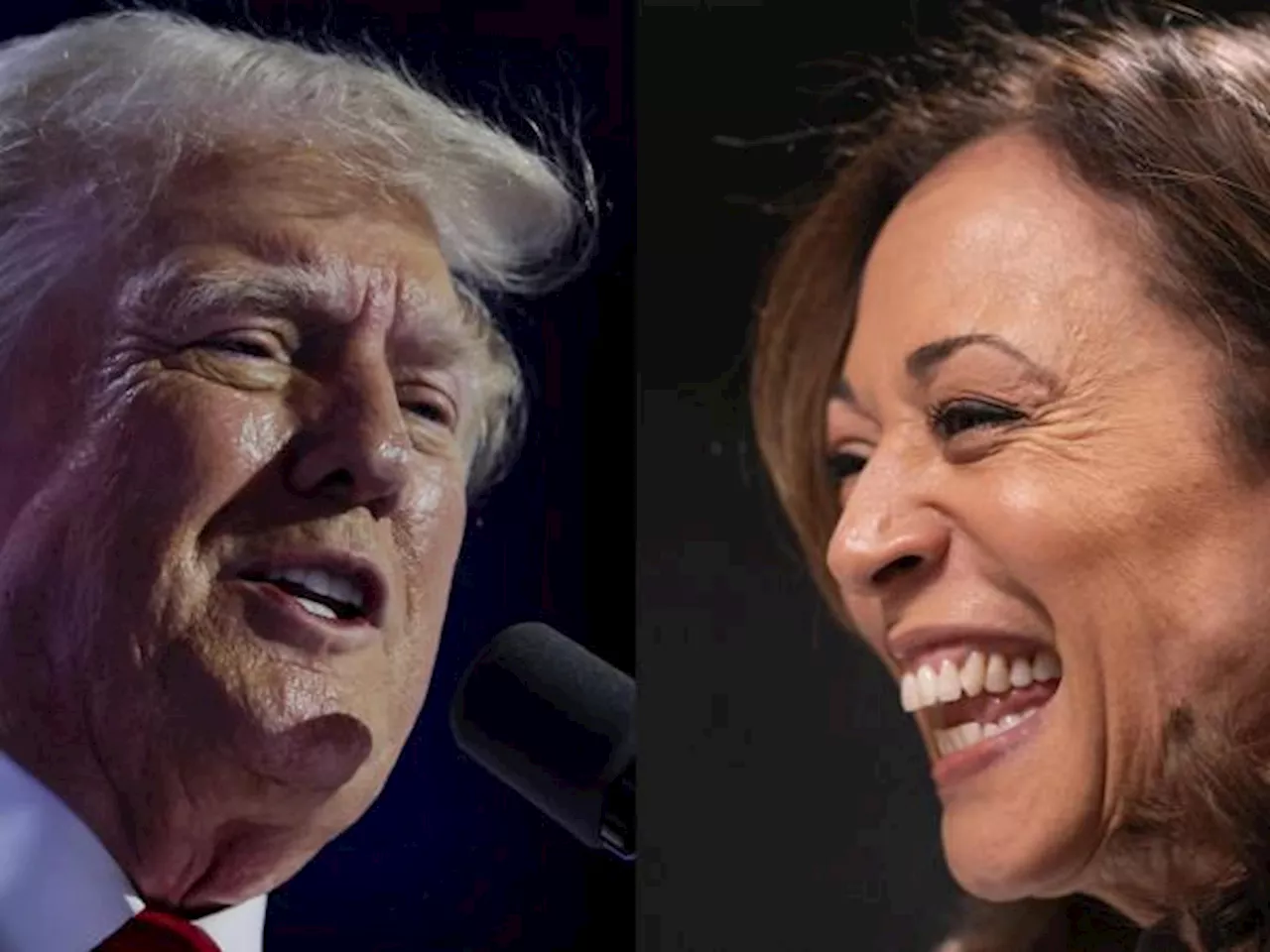 Kamala Harris, ¿la mejor carta de los demócratas para las elecciones presidenciales?