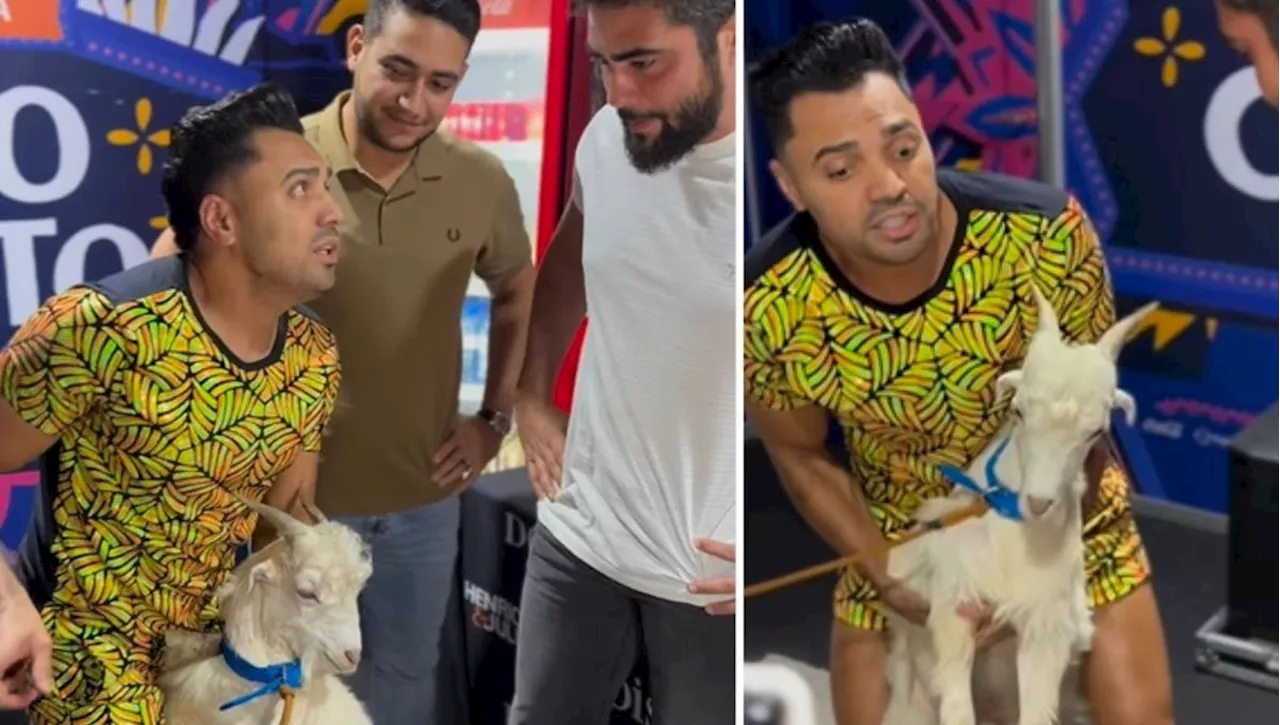 Henrique e Juliano ganham bode de Tirulipa após “roubarem” cães de Nattan