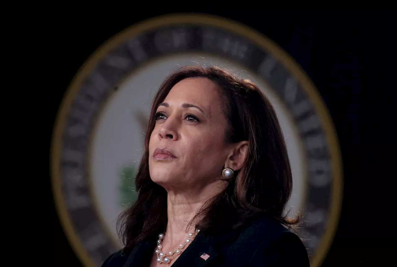 All state Democratic party chairs endorse Harris