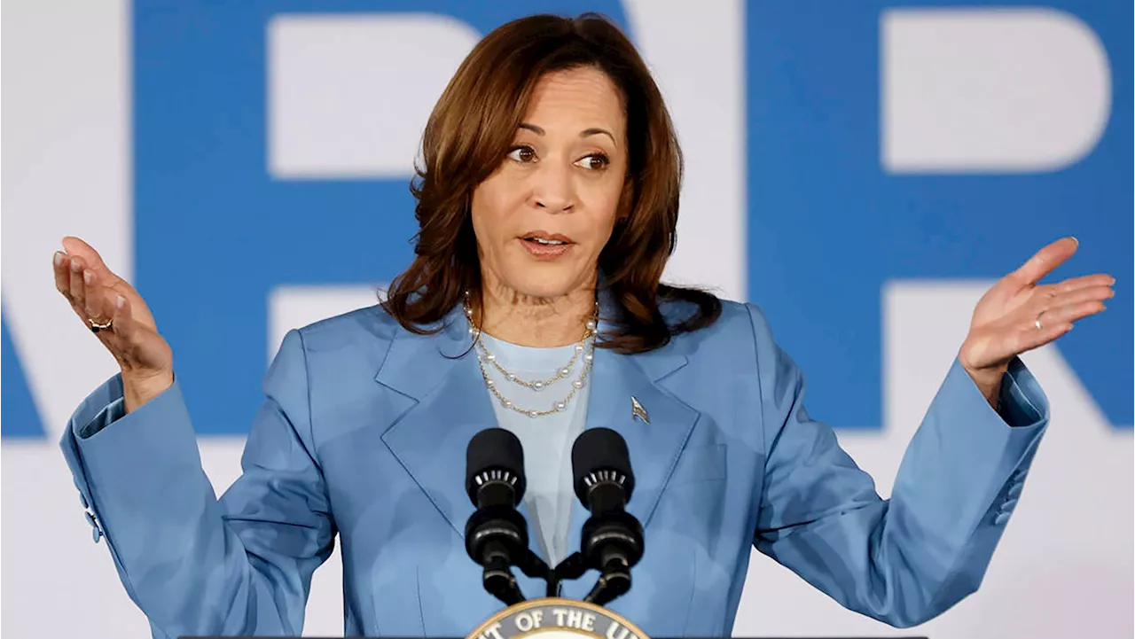 ‘DEI,’ ‘Colored,’ ‘Jezebel’: MAGA Attacks on Kamala Harris Are Getting Ugly