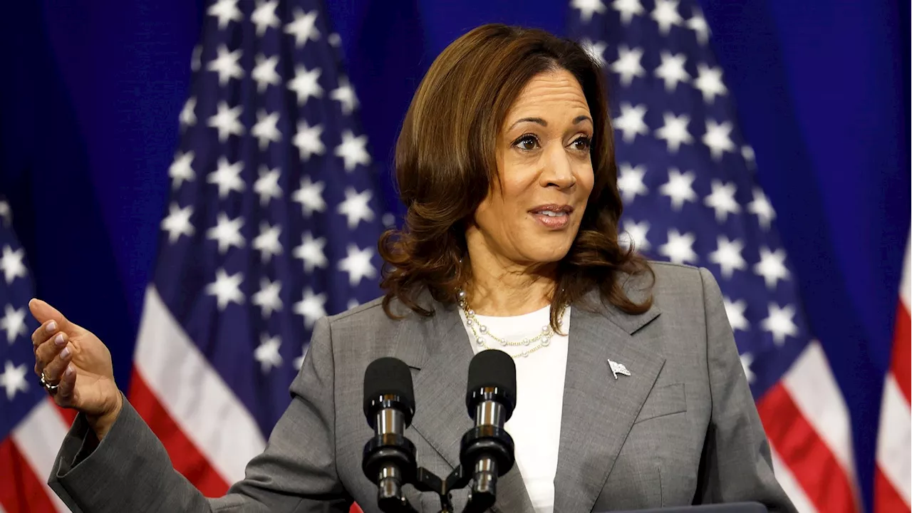 No, She Didn’t Party With Diddy: Dumb Misinfo Swirls Around Kamala Harris