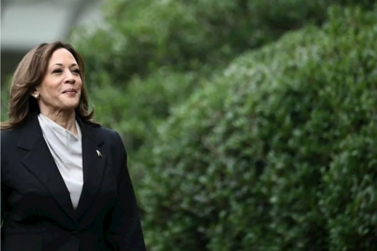 Les donateurs démocrates en ordre de bataille derrière Kamala Harris