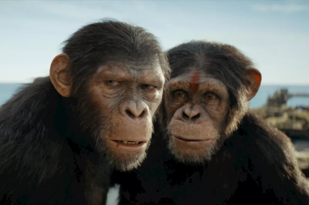 ‘Kingdom of the Planet of the Apes’ Announces Streaming Premiere Date