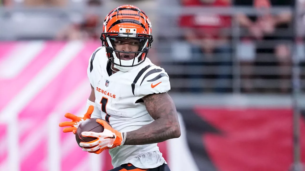 Cincinnati Bengals Owner Mike Brown Shares Thoughts Possible Ja'Marr Chase Extension