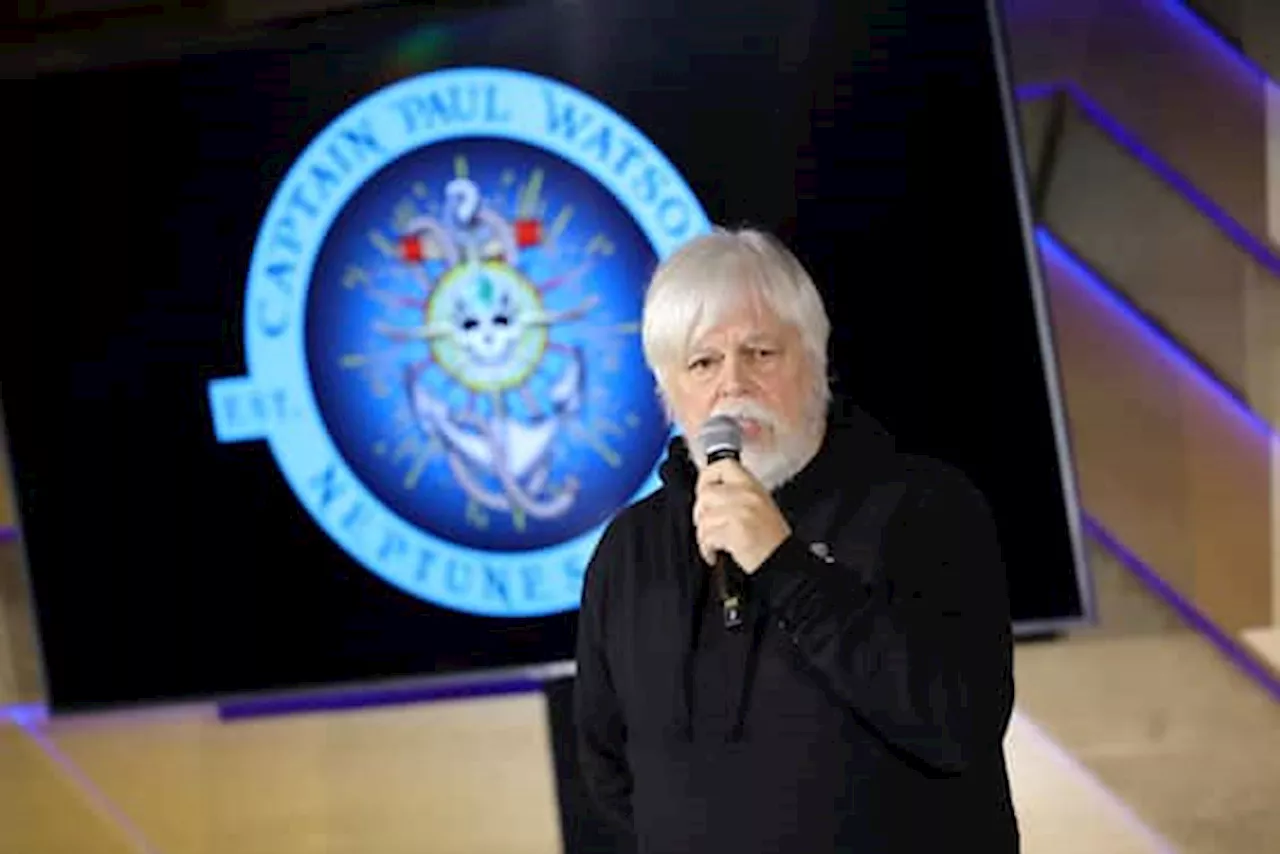 Paul Watson arrestato in Groenlandia, l'attivista rischia l'estradizione in Giappone